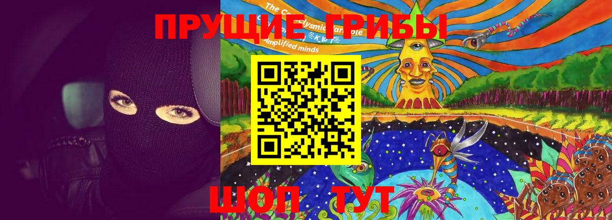 Псилоцибиновые грибы GOLDEN TEACHER  Вход с VPN  Псилоцибиновые грибы мухоморы  Рассказово 